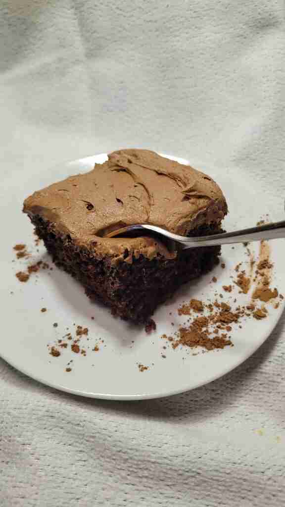 Double Chocolate Snack Cake on a plate.