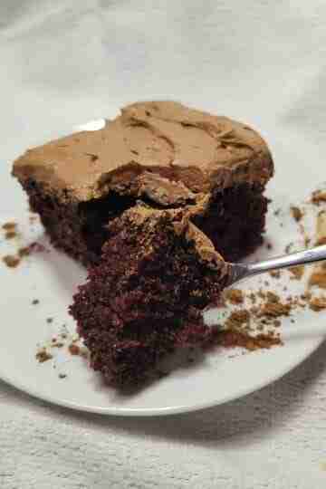 Piece of chocolate cake