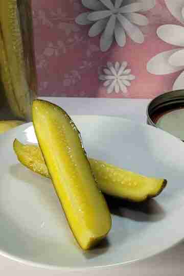 Plated Homemade Dill Pickles