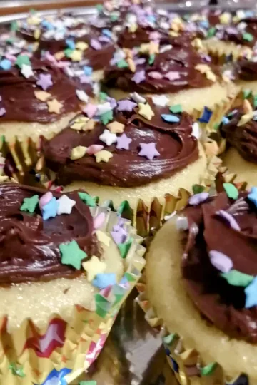 A tray of yellow cupcakes with chocolate icing and star shaped candies on top.