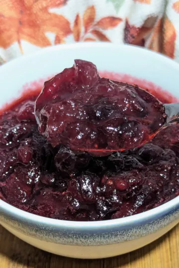 A bowl of boozy cranberry sauce with a spoonful of sauce over the bowl.