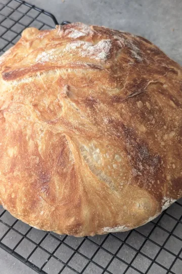 No knead bread on a wire rack.