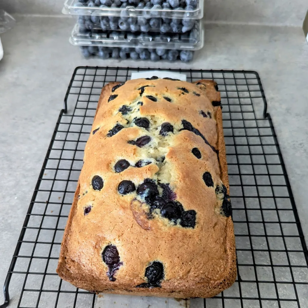Blueberry Bread on a wire rack with containers of fresh blueberries behind.