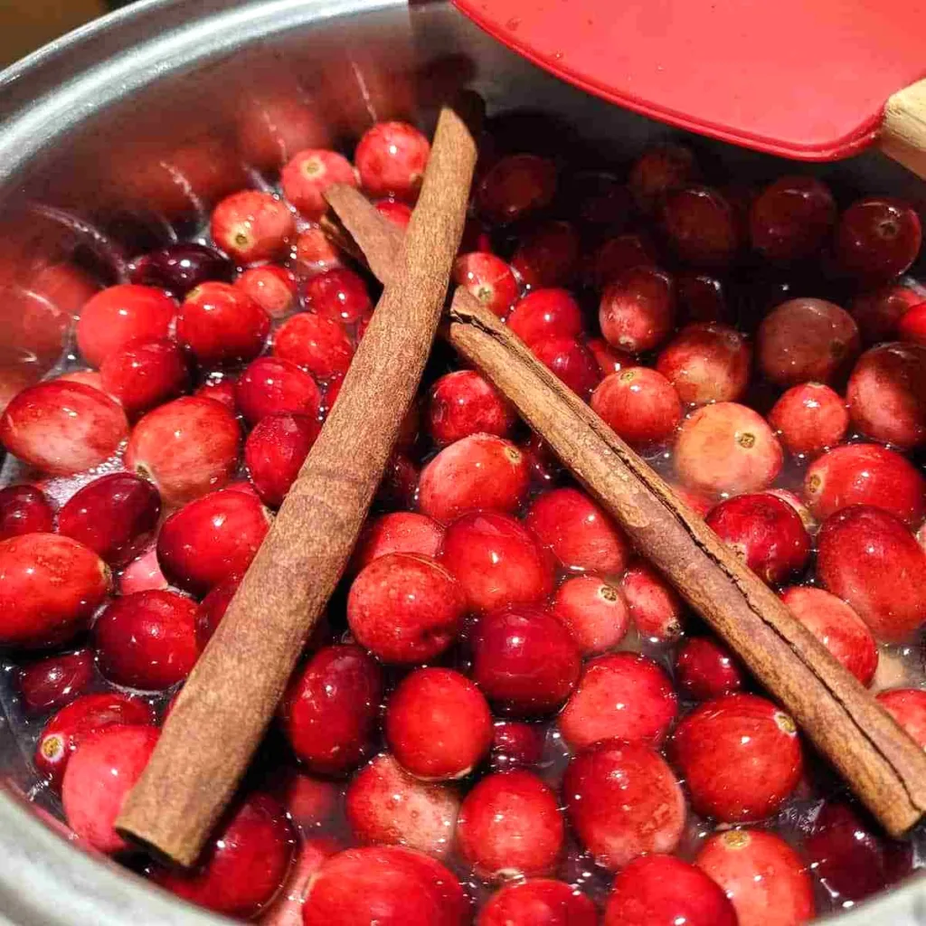 Whole fresh cranberries in a pot with water and two cinnamon sticks laying across the top.